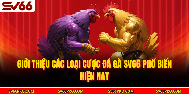 Giới thiệu các loại cược đá gà SV66 phổ biến hiện nay