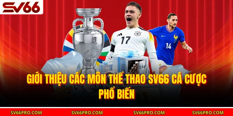 Giới thiệu các môn thể thao SV66 cá cược phổ biến